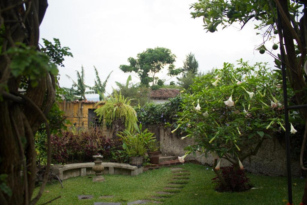 Hotel La Casa De Don Pedro Antigua Exterior foto