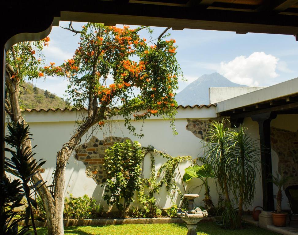 Hotel La Casa De Don Pedro Antigua Exterior foto